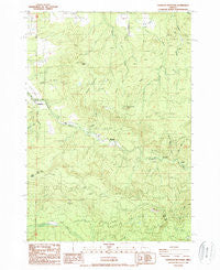 Chandler Mountain Oregon Historical topographic map, 1:24000 scale, 7.5 X 7.5 Minute, Year 1988