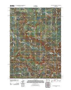 Chandler Mountain Oregon Historical topographic map, 1:24000 scale, 7.5 X 7.5 Minute, Year 2011