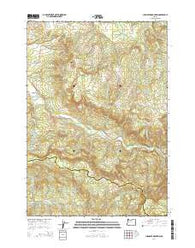Chandler Mountain Oregon Current topographic map, 1:24000 scale, 7.5 X 7.5 Minute, Year 2014