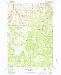Chapin Creek Oregon Historical topographic map, 1:24000 scale, 7.5 X 7.5 Minute, Year 1969