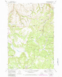 Chapin Creek Oregon Historical topographic map, 1:24000 scale, 7.5 X 7.5 Minute, Year 1969