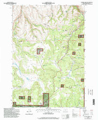 Chapin Creek Oregon Historical topographic map, 1:24000 scale, 7.5 X 7.5 Minute, Year 1995