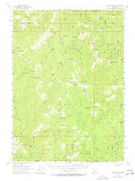 Chetco Peak Oregon Historical topographic map, 1:62500 scale, 15 X 15 Minute, Year 1954