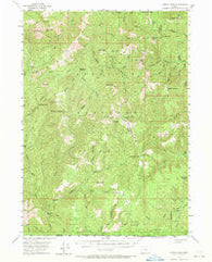 Chetco Peak Oregon Historical topographic map, 1:62500 scale, 15 X 15 Minute, Year 1954
