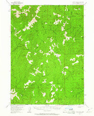 Chetco Peak Oregon Historical topographic map, 1:62500 scale, 15 X 15 Minute, Year 1954