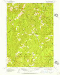 Chetco Peak Oregon Historical topographic map, 1:62500 scale, 15 X 15 Minute, Year 1954