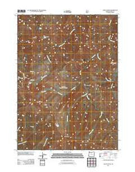 Chetco Peak Oregon Historical topographic map, 1:24000 scale, 7.5 X 7.5 Minute, Year 2011
