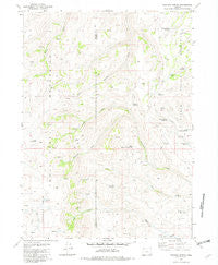 Chicken Spring Oregon Historical topographic map, 1:24000 scale, 7.5 X 7.5 Minute, Year 1981