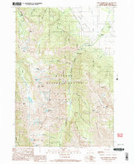 Chief Joseph Mtn Oregon Historical topographic map, 1:24000 scale, 7.5 X 7.5 Minute, Year 1990