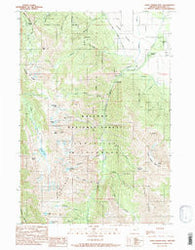 Chief Joseph Mtn Oregon Historical topographic map, 1:24000 scale, 7.5 X 7.5 Minute, Year 1990