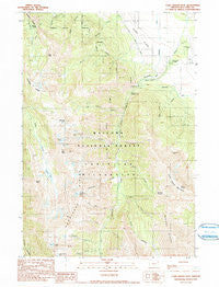 Chief Joseph Mtn Oregon Historical topographic map, 1:24000 scale, 7.5 X 7.5 Minute, Year 1990