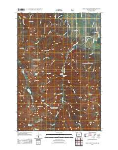 Chief Joseph Mountain Oregon Historical topographic map, 1:24000 scale, 7.5 X 7.5 Minute, Year 2011