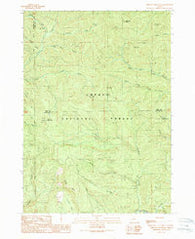 Chilcoot Mountain Oregon Historical topographic map, 1:24000 scale, 7.5 X 7.5 Minute, Year 1989