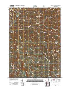 Chilcoot Mountain Oregon Historical topographic map, 1:24000 scale, 7.5 X 7.5 Minute, Year 2011