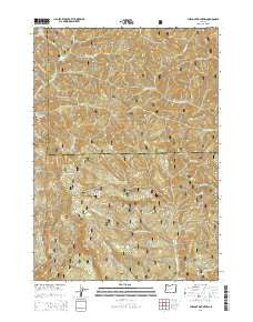 Chilcoot Mountain Oregon Current topographic map, 1:24000 scale, 7.5 X 7.5 Minute, Year 2014