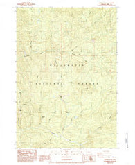Chimney Peak Oregon Historical topographic map, 1:24000 scale, 7.5 X 7.5 Minute, Year 1984