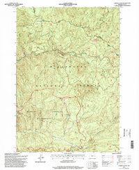 Chimney Peak Oregon Historical topographic map, 1:24000 scale, 7.5 X 7.5 Minute, Year 1994