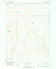 Chimney Rock Oregon Historical topographic map, 1:24000 scale, 7.5 X 7.5 Minute, Year 1971