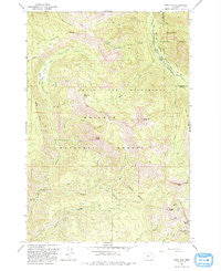 China Cap Oregon Historical topographic map, 1:24000 scale, 7.5 X 7.5 Minute, Year 1993