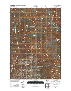 China Cap Oregon Historical topographic map, 1:24000 scale, 7.5 X 7.5 Minute, Year 2011