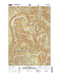 China Cap Oregon Current topographic map, 1:24000 scale, 7.5 X 7.5 Minute, Year 2014