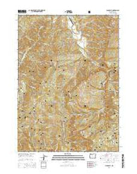 China Flat Oregon Current topographic map, 1:24000 scale, 7.5 X 7.5 Minute, Year 2014