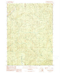 Chipmunk Ridge Oregon Historical topographic map, 1:24000 scale, 7.5 X 7.5 Minute, Year 1990