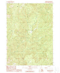 Chrome Ridge Oregon Historical topographic map, 1:24000 scale, 7.5 X 7.5 Minute, Year 1989