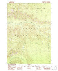 Chucksney Mountain Oregon Historical topographic map, 1:24000 scale, 7.5 X 7.5 Minute, Year 1986