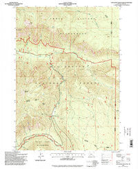 Chucksney Mountain Oregon Historical topographic map, 1:24000 scale, 7.5 X 7.5 Minute, Year 1997