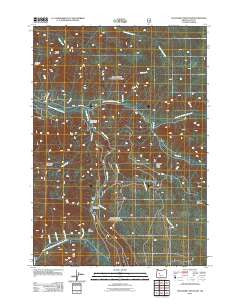 Chucksney Mountain Oregon Historical topographic map, 1:24000 scale, 7.5 X 7.5 Minute, Year 2011