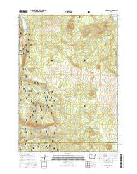 Clear Lake Oregon Current topographic map, 1:24000 scale, 7.5 X 7.5 Minute, Year 2014