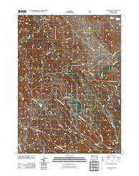Clover Flat Oregon Historical topographic map, 1:24000 scale, 7.5 X 7.5 Minute, Year 2011