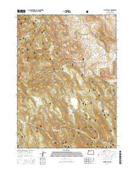 Clover Flat Oregon Current topographic map, 1:24000 scale, 7.5 X 7.5 Minute, Year 2014