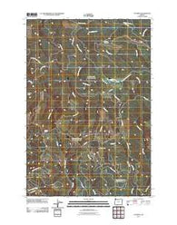 Cochran Oregon Historical topographic map, 1:24000 scale, 7.5 X 7.5 Minute, Year 2011