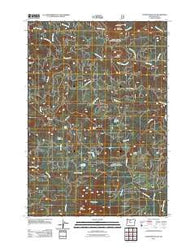 Coffin Mountain Oregon Historical topographic map, 1:24000 scale, 7.5 X 7.5 Minute, Year 2011