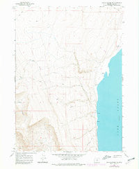 Coglan Buttes NE Oregon Historical topographic map, 1:24000 scale, 7.5 X 7.5 Minute, Year 1966