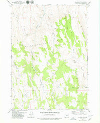 Coleman Mtn Oregon Historical topographic map, 1:24000 scale, 7.5 X 7.5 Minute, Year 1979