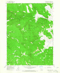 Coleman Point Oregon Historical topographic map, 1:24000 scale, 7.5 X 7.5 Minute, Year 1964
