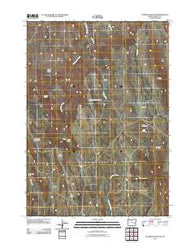 Coleman Mountain Oregon Historical topographic map, 1:24000 scale, 7.5 X 7.5 Minute, Year 2011