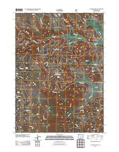 Coleman Point Oregon Historical topographic map, 1:24000 scale, 7.5 X 7.5 Minute, Year 2011