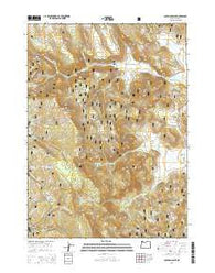Coleman Point Oregon Current topographic map, 1:24000 scale, 7.5 X 7.5 Minute, Year 2014