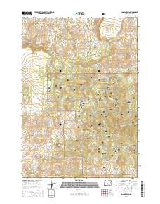 Conant Basin Oregon Current topographic map, 1:24000 scale, 7.5 X 7.5 Minute, Year 2014