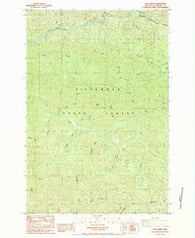 Cook Creek Oregon Historical topographic map, 1:24000 scale, 7.5 X 7.5 Minute, Year 1984