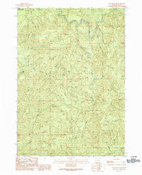 Coos Mountain Oregon Historical topographic map, 1:24000 scale, 7.5 X 7.5 Minute, Year 1990