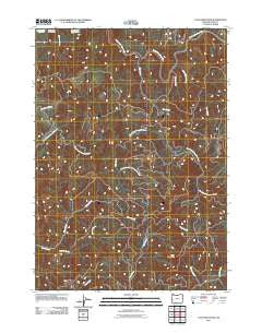 Coos Mountain Oregon Historical topographic map, 1:24000 scale, 7.5 X 7.5 Minute, Year 2011