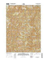 Coos Mountain Oregon Current topographic map, 1:24000 scale, 7.5 X 7.5 Minute, Year 2014