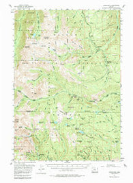 Cornucopia Oregon Historical topographic map, 1:62500 scale, 15 X 15 Minute, Year 1954