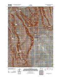 Corporation Rim Oregon Historical topographic map, 1:24000 scale, 7.5 X 7.5 Minute, Year 2011