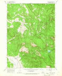Cougar Peak Oregon Historical topographic map, 1:24000 scale, 7.5 X 7.5 Minute, Year 1964